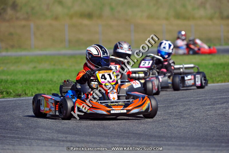 DSC_ (1262).jpg